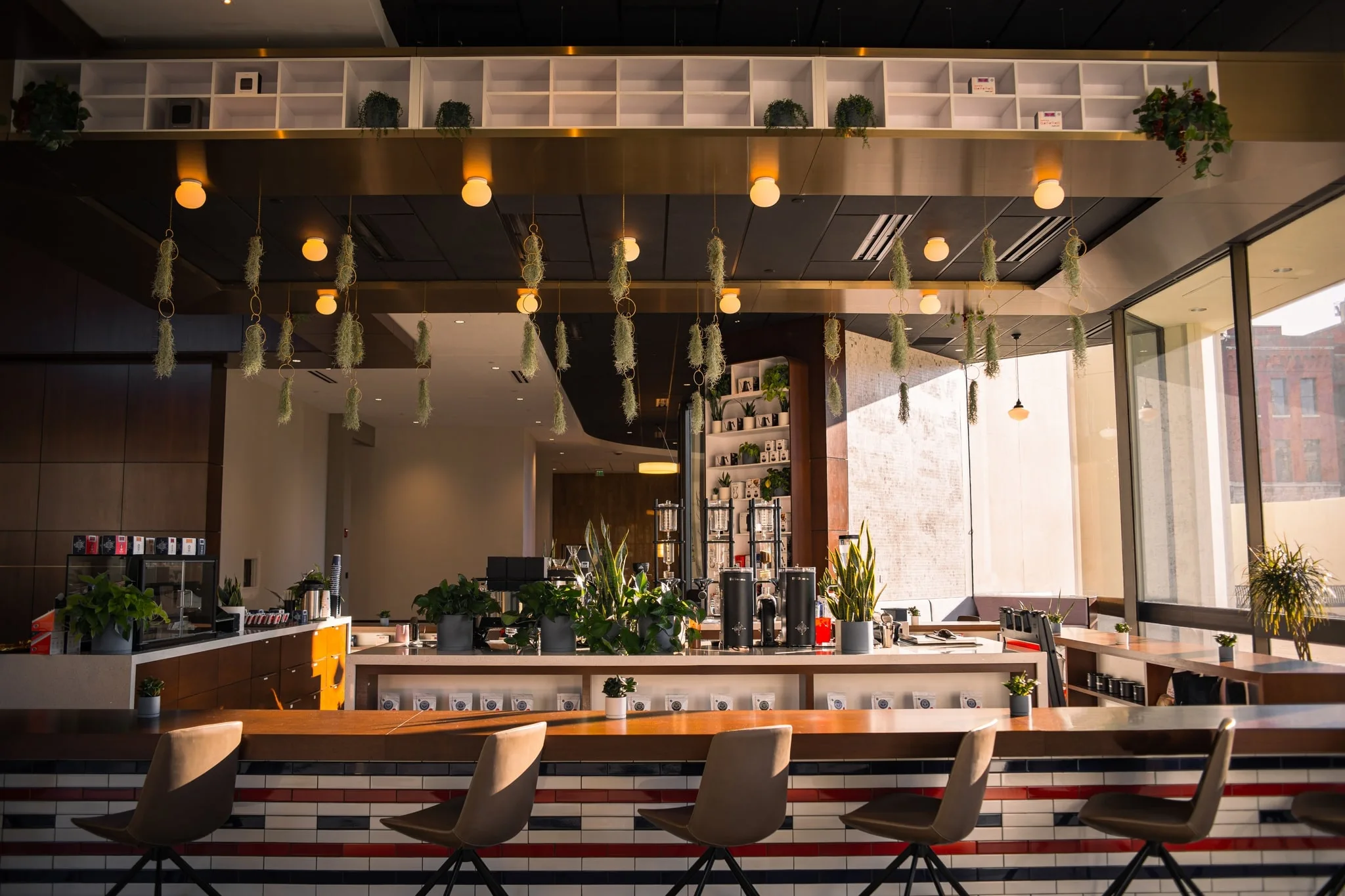 Step inside the welcoming ambience of Nashville's coffee scenes.