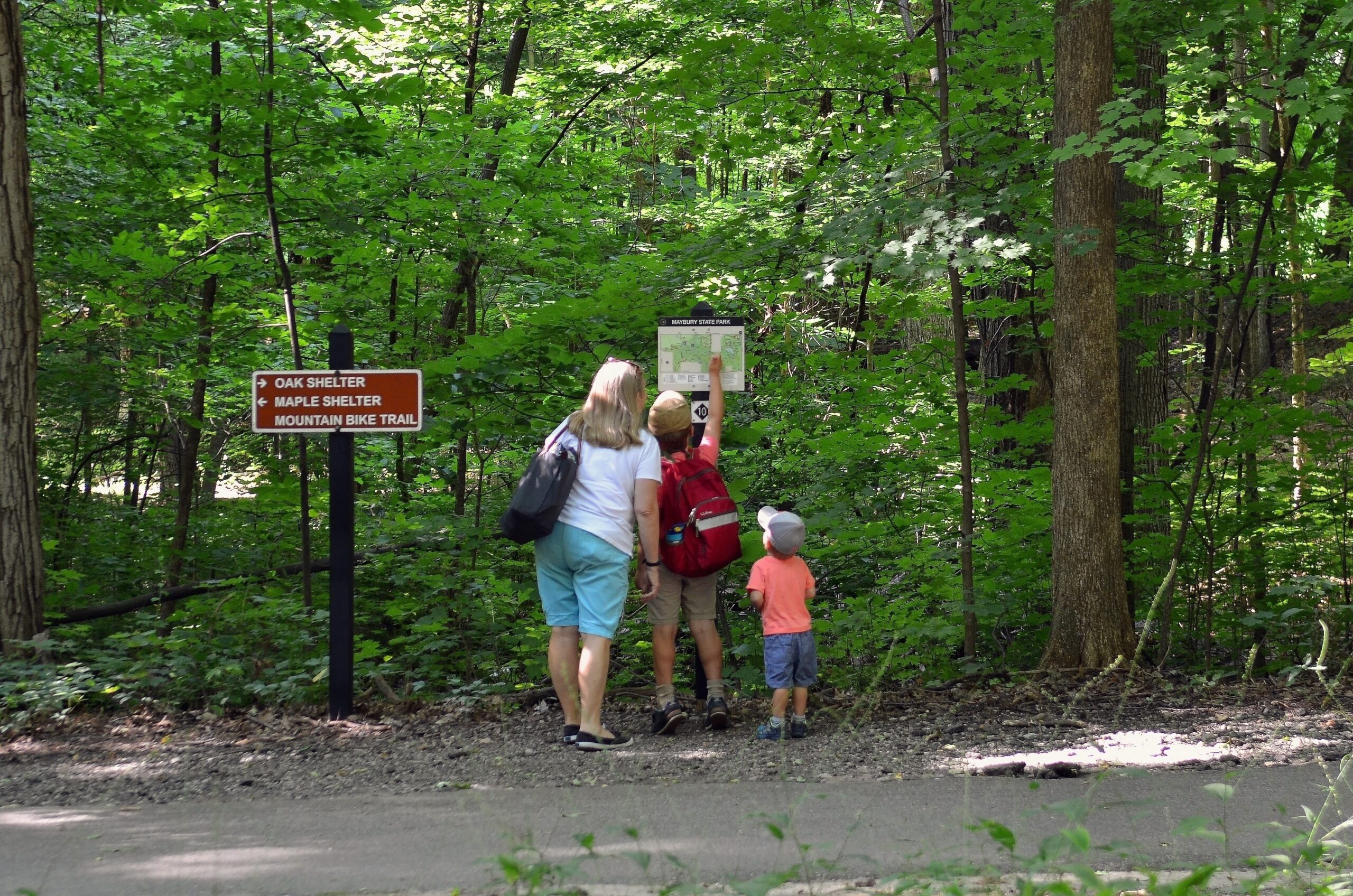 Adventures await at Maybury State Park: A gem for family explorations.